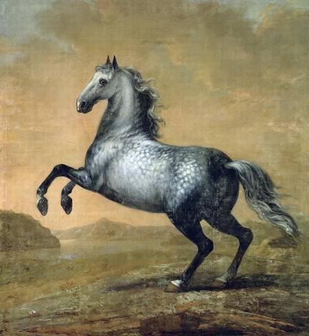 The Little Englishman 's Horse a David Klocker Ehrenstrahl