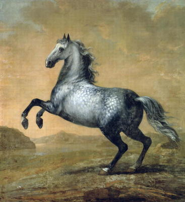 The Little Englishman, King Karl XI (1655-97)'s Horse (oil on canvas) a David Klocker Ehrenstrahl