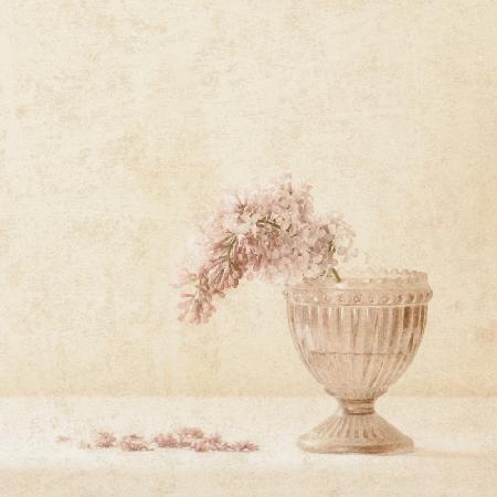 A Sprig of Lilac - Vintage mood