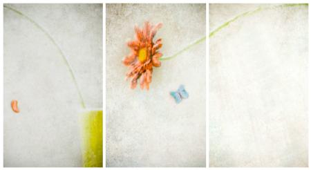 Waiting for Spring (Triptych)