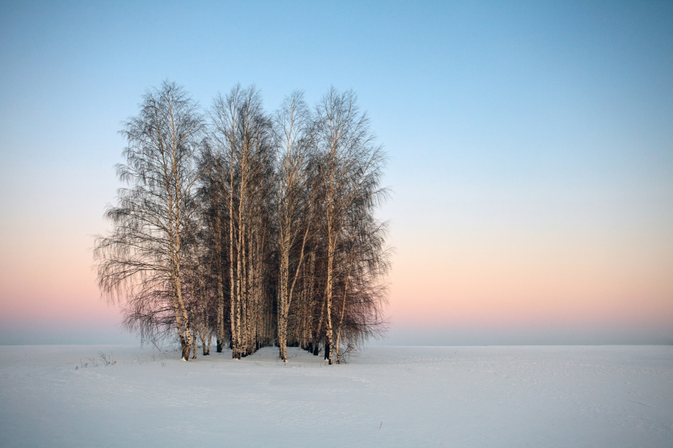 Frozen Spaces a Denis Belyaev