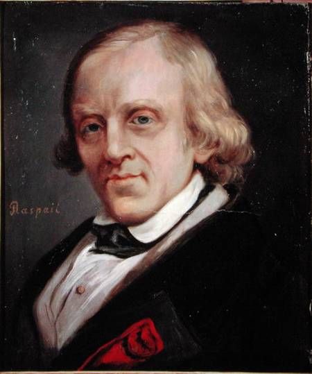 Francois Vincent Raspail (1794-1878) a Denis Bonnet