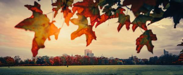 Rosental Leipzig im Herbst.jpg (7107 KB)  a Dennis Wetzel