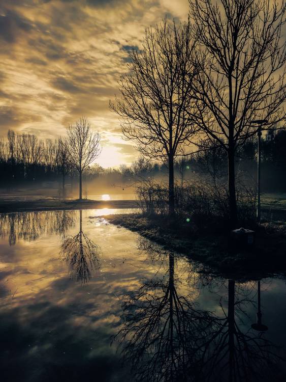 Sonnenaufgang im Nebel am Cospudener See a Dennis Wetzel