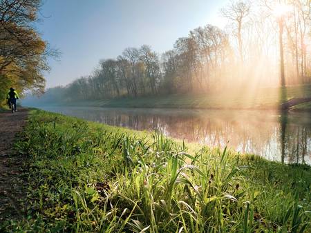 Morgennebel an der Weißen Elster in Leipzig