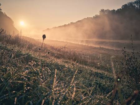 Neue Luppe im Morgennebel, am Auensee Leipzig, Bild 2