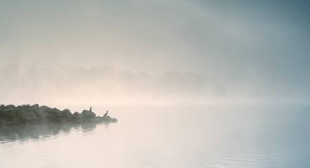 Reiher im Nebel am Cospudener See Leipzig.jpg (3437 KB) 