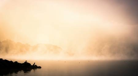 Reiher im Nebel am Cospudener See Leipzig 2.jpg (3939 KB) 