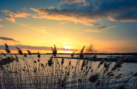 Sonnenuntergang am See im Schilf Bild 2