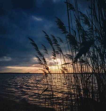 Sonnenuntergang mit Schilf am See.jpg (16262 KB) 