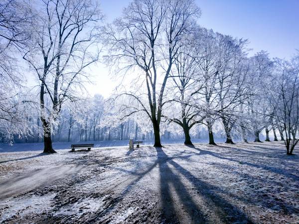 Wintertraum. Licht und Schatten im Winter.jpg (29924 KB)  a Dennis Wetzel