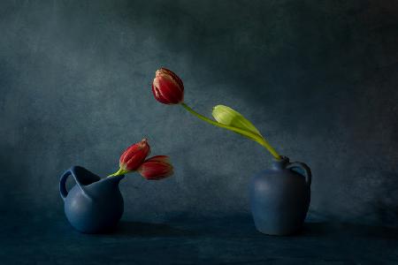 Tulips &amp; vases