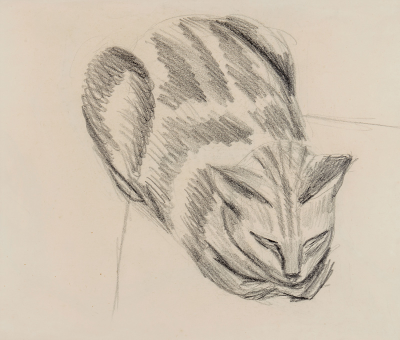 Sleeping Cat (pencil on paper) a Denton Welch