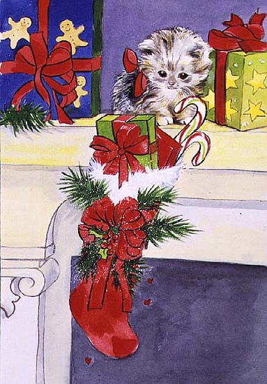 The Kitten and the Christmas Stocking  a Diane  Matthes