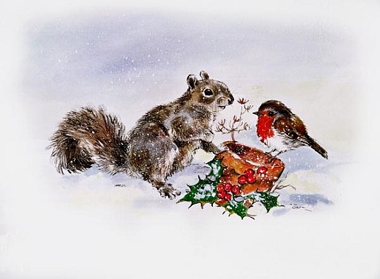 The Squirrel and the Robin  a Diane  Matthes