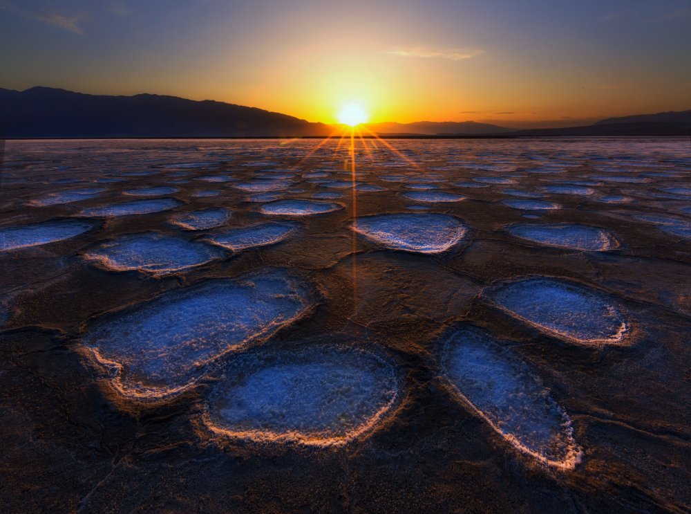 Crystal Flower in Death Valley a Dianne Mao