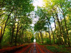 Museumseisenbahn durch den Wald von Hage