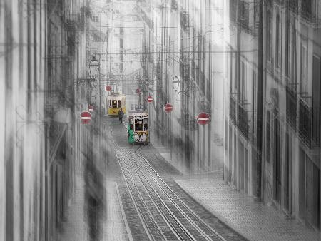 trams