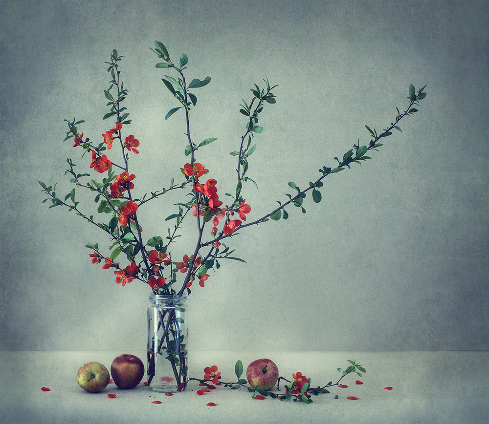 Still life with a Japanese quince a Dimitar Lazarov - Dim
