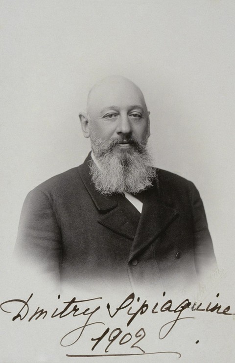 Portrait of Dmitry Sergeyevich Sipyagin (1853-1902) a Dimitrij Grigorjewitsch Lewizkij