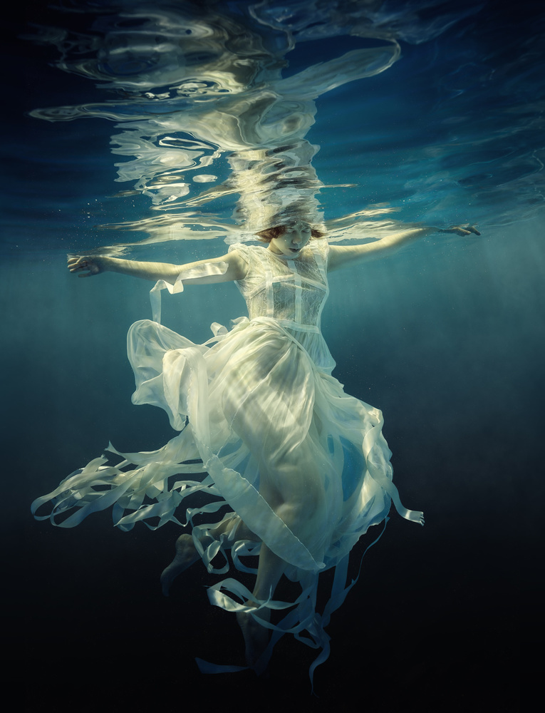 Jellyfish a Dmitry Laudin