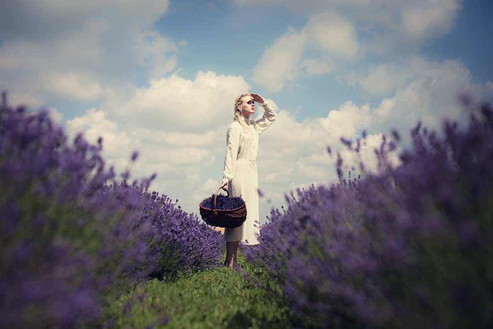 Lavender field a Dorota Górecka