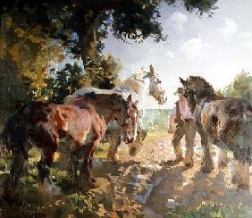 Going to Pasture