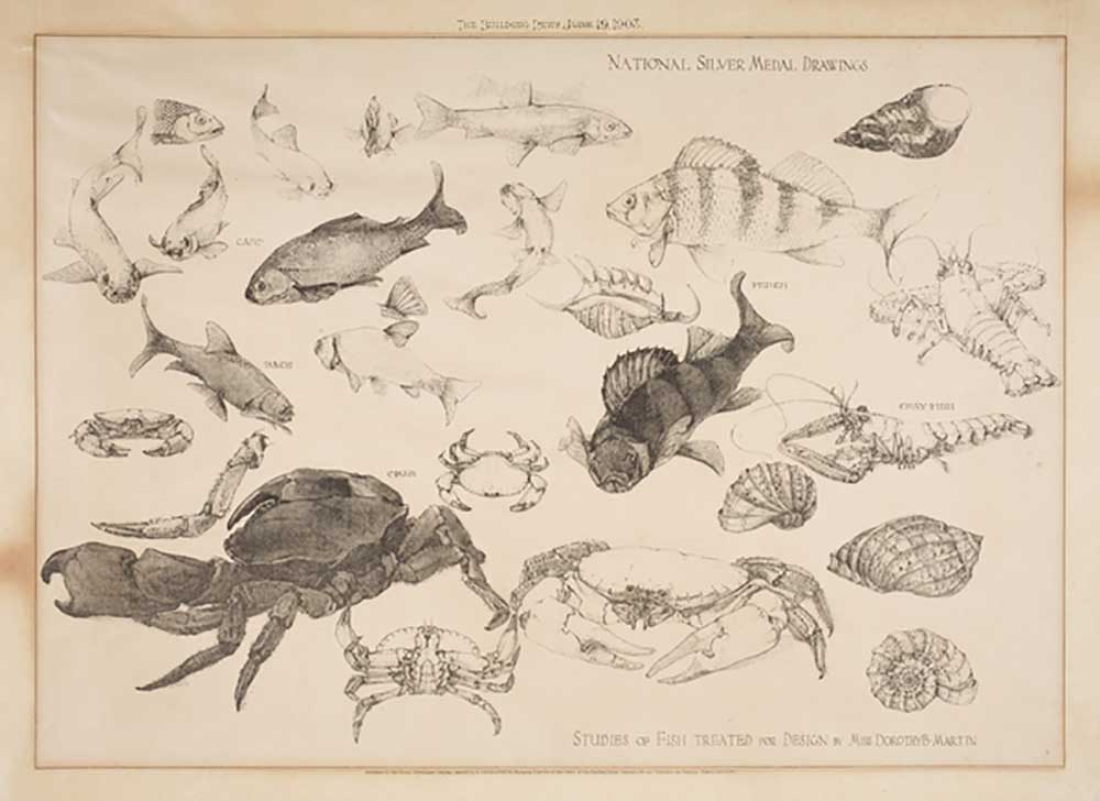 Studies of Fish Treated for Design, 1903 a Dorothy Martin