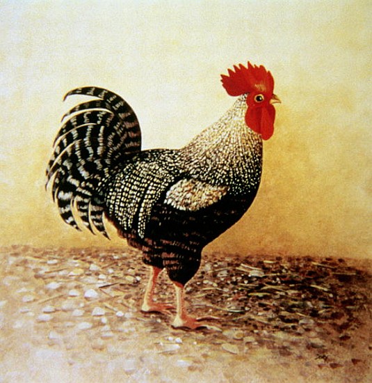 Speckled Rooster (acrylic on canvas)  a Dory  Coffee