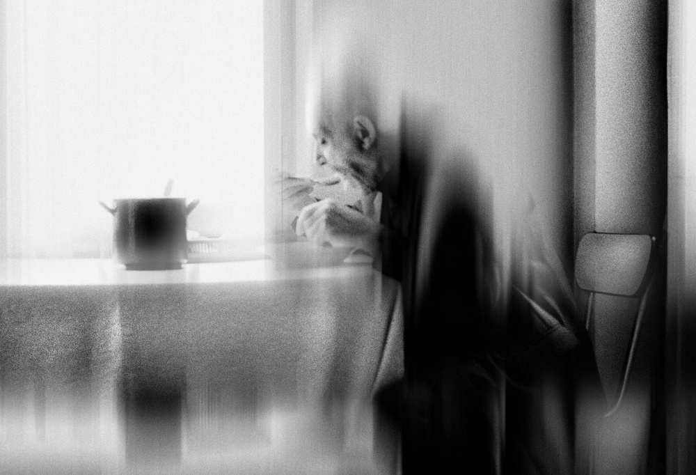 Dining in the silence of oblivion a Dragan Ristic