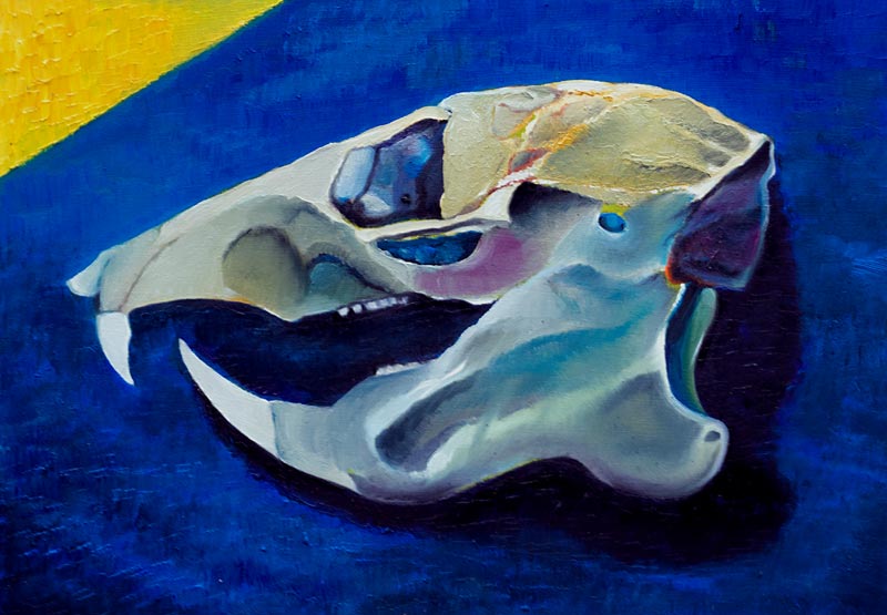 Skull no.5 a Azure