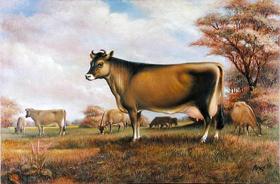 Jersey Cow (oil on canvas)  a Dudley  Pout