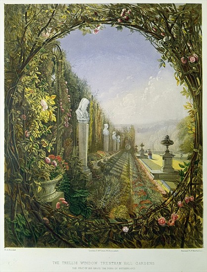 The Trellis Window, Trentham Hall Gardens, from ''Gardens of England'', published 1857 a E. Adveno Brooke