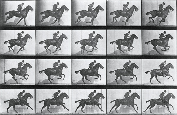 Galloping Horse, plate 628 from ''Animal Locomotion'', 1887 (b/w photo)  a Eadweard Muybridge