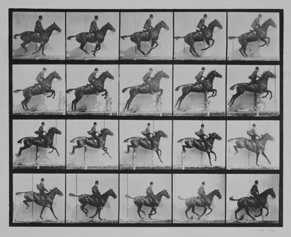 Man and horse jumping a fence, plate 640 from 'Animal Locomotion', 1887 (b/w photo) a Eadweard Muybridge