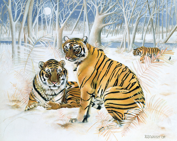 Tigers in the Snow a E.B.  Watts