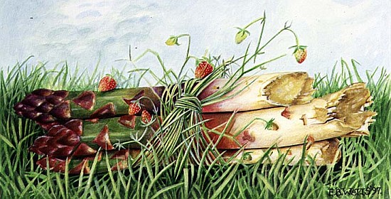 Asparagus Tied with Wild Strawberries, 1997 (acrylic on paper)  a E.B.  Watts