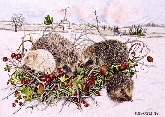 Hedgehogs in Hedgerow Basket, 1996 (acrylic on canvas)  a E.B.  Watts