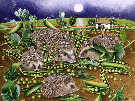 Hedgehogs with Peas beside a Poppy field at night, 1994 (acrylic)  a E.B.  Watts