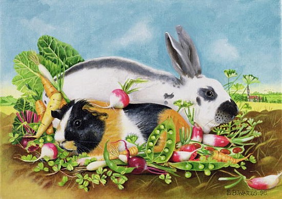 Rabbit and Guinea Pig, 1998 (acrylic on canvas)  a E.B.  Watts