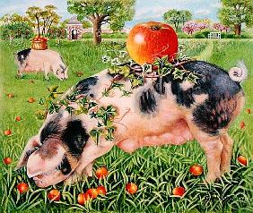 Gloucester Pigs, 2000 (acrylic on canvas) 