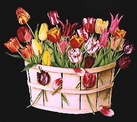 Tulips in an Orchard Basket on Black, 1991 (acrylic) 