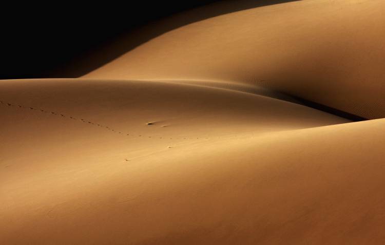 Desert and the human torso a Ebrahim Bakhtari bonab