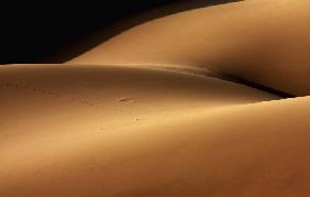 Desert and the human torso