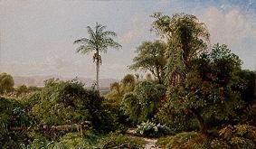 Cuban landscape. a Edmund Darch Lewis