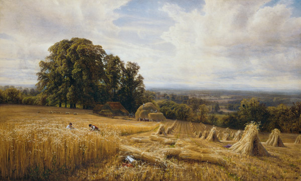 Grain harvest a Edmund George Warren