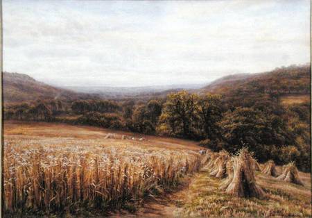 Harvest Time near Ashburton a Edmund George Warren
