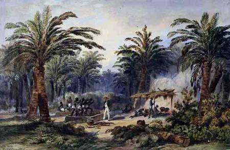 The Fabrication of Palm Oil at Whydah, West Coast of Africa a Edouard Auguste Nousveaux