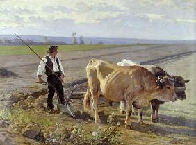 The Furrow, 1897 (oil on canvas) 19th