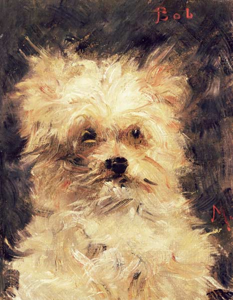 Head of a Dog - "Bob" a Edouard Manet
